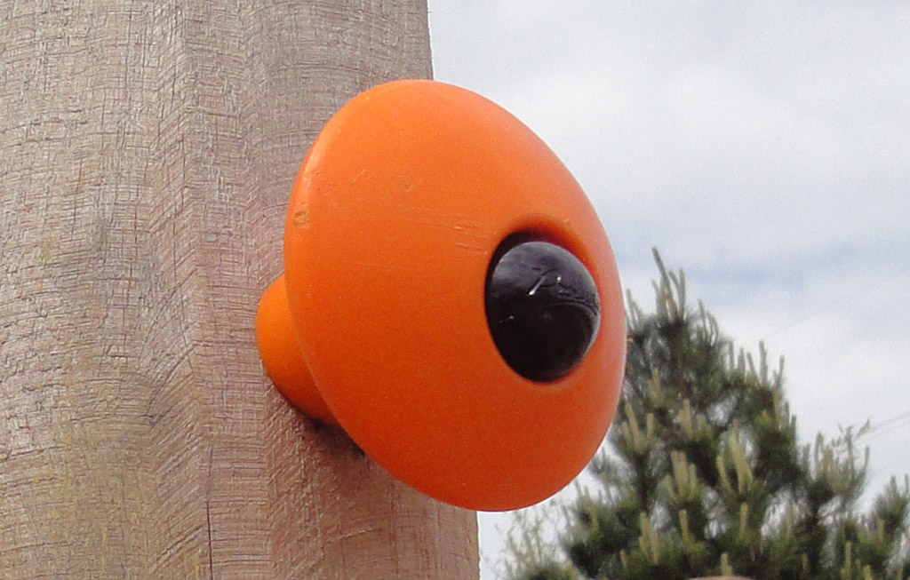 Les prises d'escalade