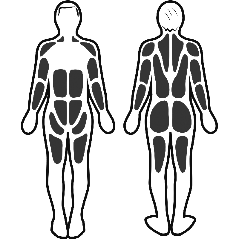 Stimulation musculaire