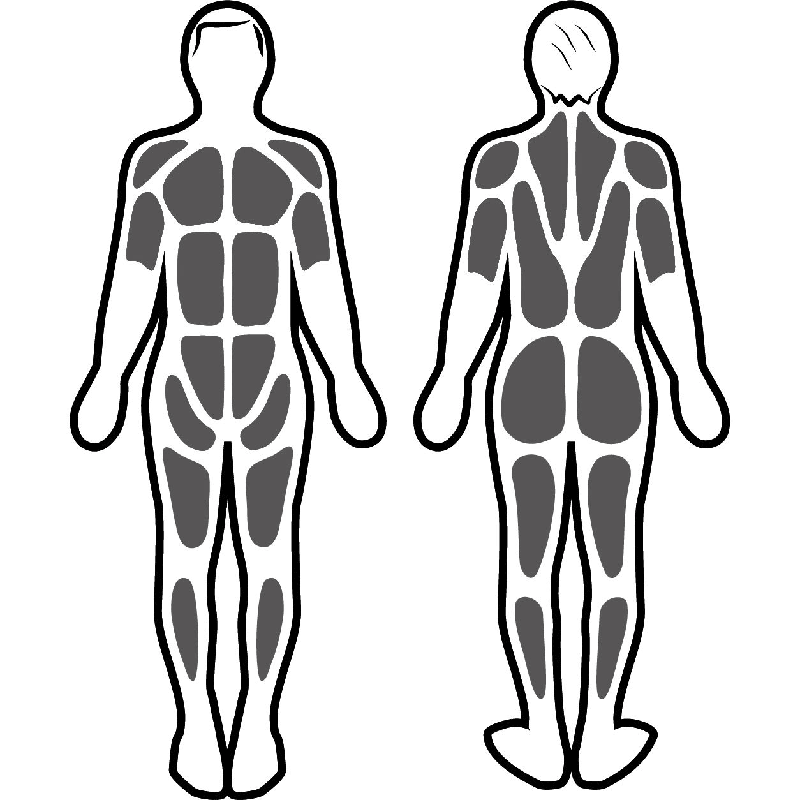 Stimulation musculaire