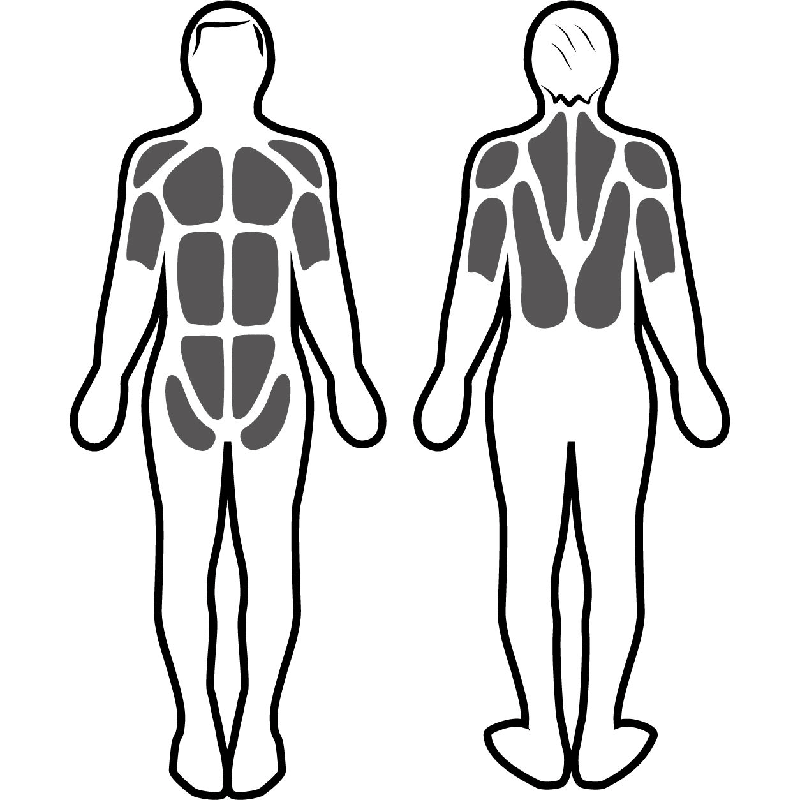 Stimulation musculaire