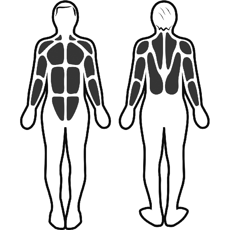 Stimulation musculaire