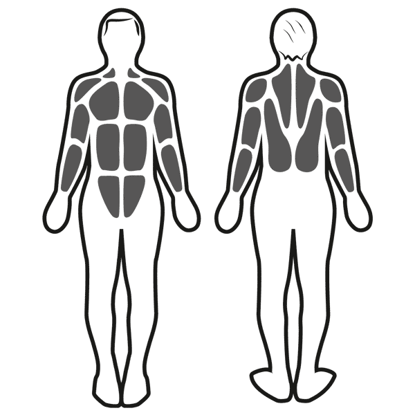 Stimulation musculaire