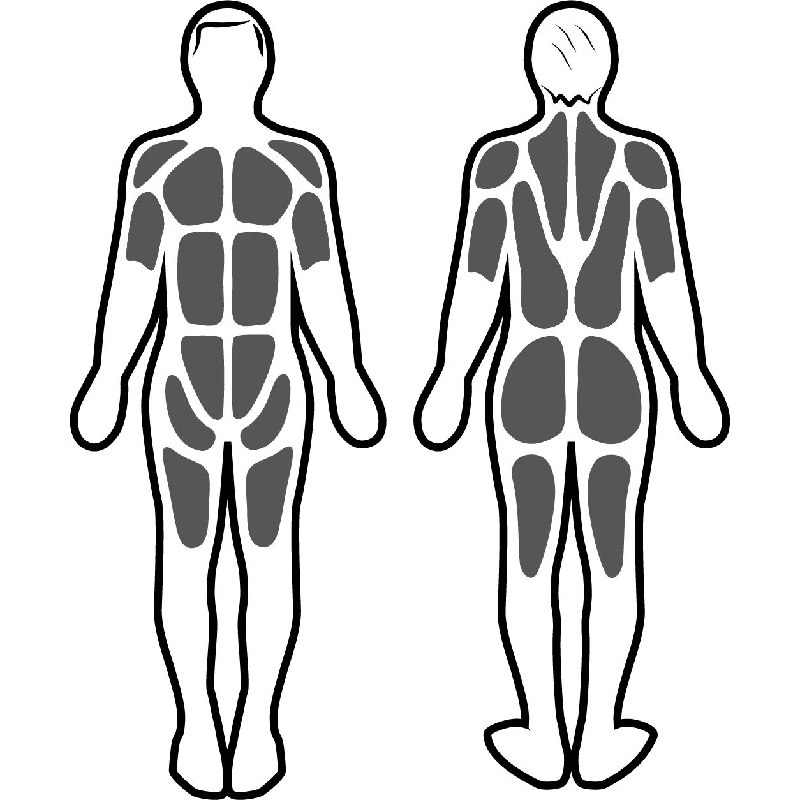 Stimulation musculaire