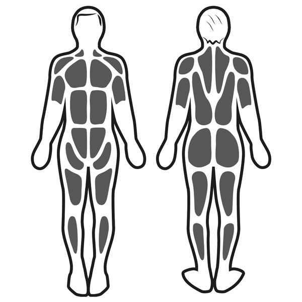 Stimulation musculaire