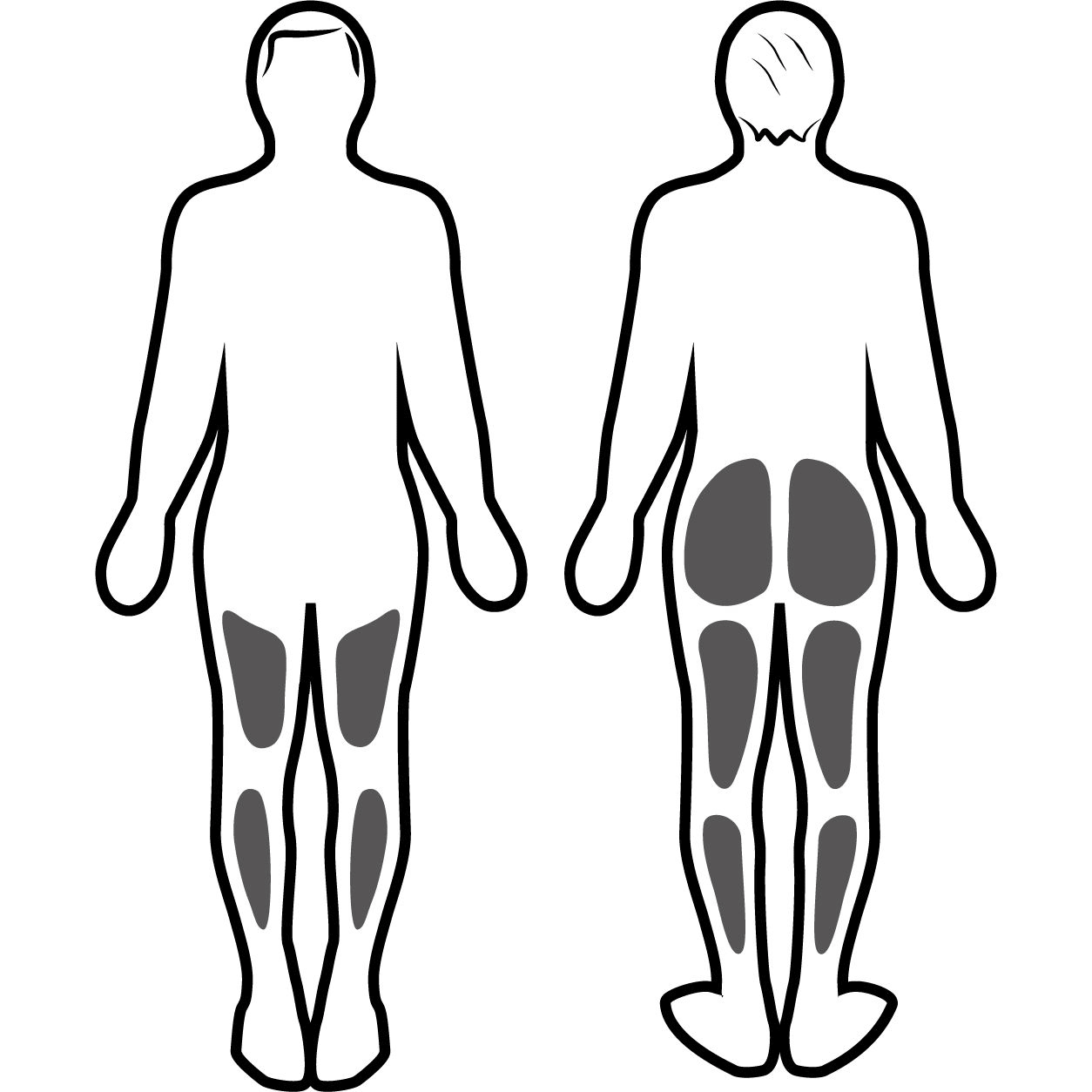 Stimulation musculaire