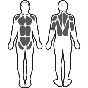 Stimulation musculaire