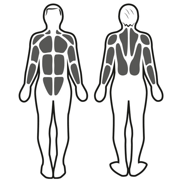 Stimulation musculaire