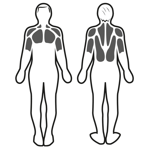 Stimulation musculaire