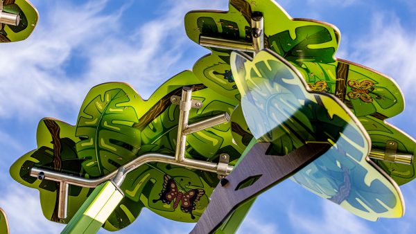 Découvrir les variétés d'arbres Ka'Yop
